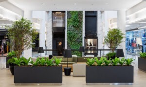 Paisagismos Plaza Sul Shopping