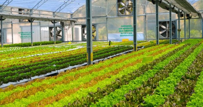 BeGreen no Shopping da Aliansce Sonae